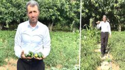 Hakkari’de 3 kez “Yılın Çiftçisi” seçildi, şimdi sera desteği bekliyor: İşsiz, maaşsız, çiftçilikle çocuk okutmak zor