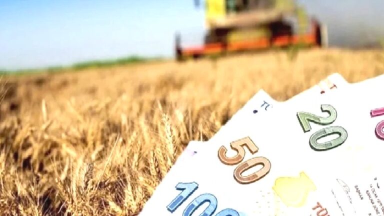 Bitkisel üretim destekleri değişti: 2027 için destek katsayısı dekara 442 lira oldu